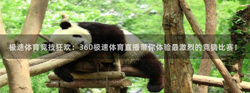 玩球直播 官网