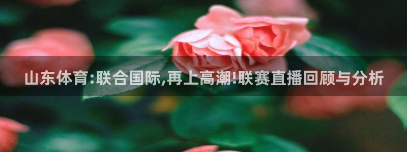 玩球直播官网入口