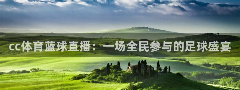 玩球直播官网