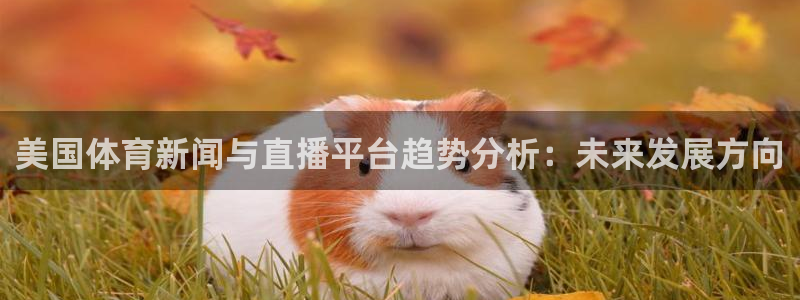 体育新闻