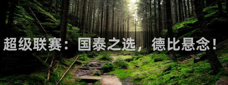 玩球直播免费下载