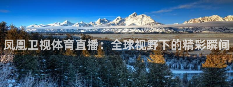 体育新闻