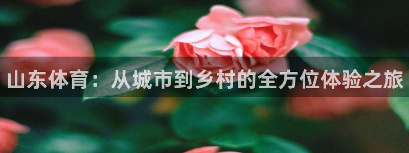 体育新闻